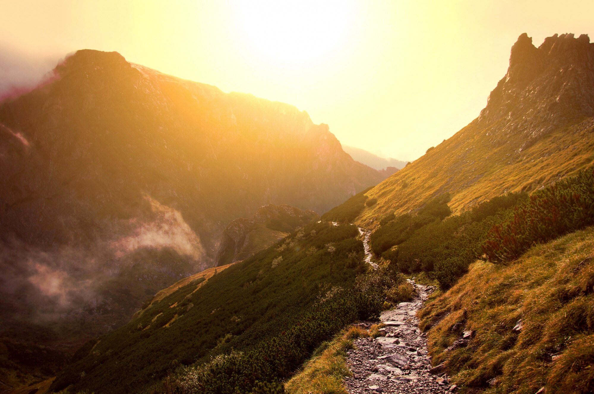 Camino sereno entre montañas al amanecer, representando el equilibrio y la calma en la vida cotidiana